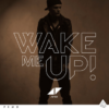 【解説・和訳】 Wake Me Up! / Avicii（アヴィーチー）