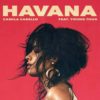 【解説・和訳】 Havana / カミラ・カベロ feat. ヤング・サグ